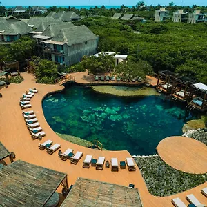 https://hotel-shibari-restaurant-cenote-club.quintano-roohotels.com